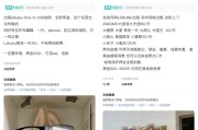 梦见切菜闲鱼：LABUBU搜索量环比上涨1000%，供不应求下现租赁新形式